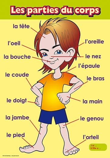 French Vocabulary Posters | General | 1st Class, 2nd Class, 3rd Class ...