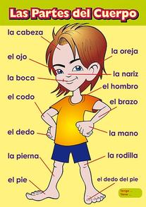 Spanish Vocabulary Posters | 1st Class, 2nd Class, 3rd Class, 4th Class ...